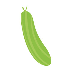 Isolated cucumber icon. Vegetable icon - Salad ingredient - Vector