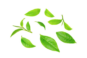 A group of tea leaves on a white background