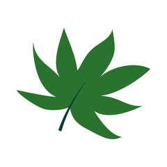 tropical leaf flat style icon vector design