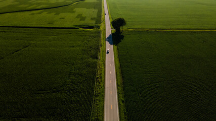 illinois kentucky ohio landscape corn fields and roads