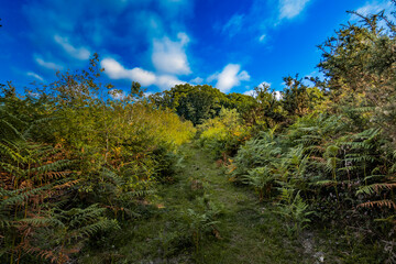 Zonas verdes, naturaleza del entorno de Zugarramurdi y Urdazubi