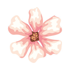 cute flower nature, on white background vector illustration design