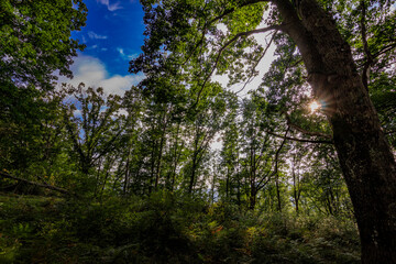 Zonas verdes, naturaleza del entorno de Zugarramurdi y Urdazubi