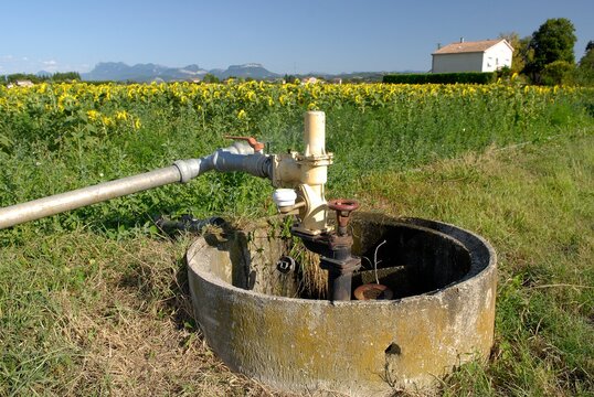 Arrosage automatique champ de tournesol