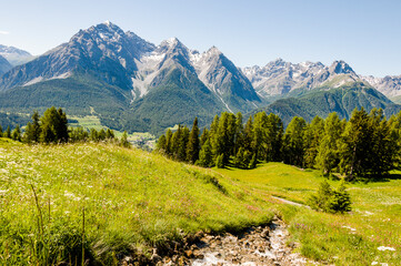 Obraz premium Ftan, Tarasp, Unterengadin, Alp Laret, Wanderweg, Bergwiesen, Bergkräuter, Bergbach, Alpen, Engadin, Innschlucht, Inn, Fluss, Graubünden, Sommer, Schweiz