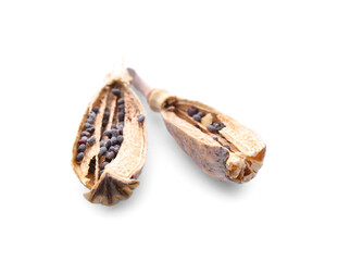 Naklejka premium Dry poppy head with seeds on white background