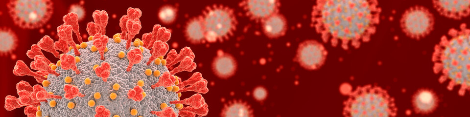 Coronavirus COVID-19 cells under the microscope. The disease caused by SARS-CoV-2 virus became a pandemic in 2020.