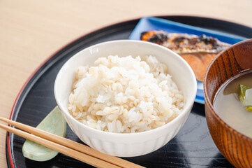 茶碗に盛ったもち麦ごはんと鮭と味噌汁