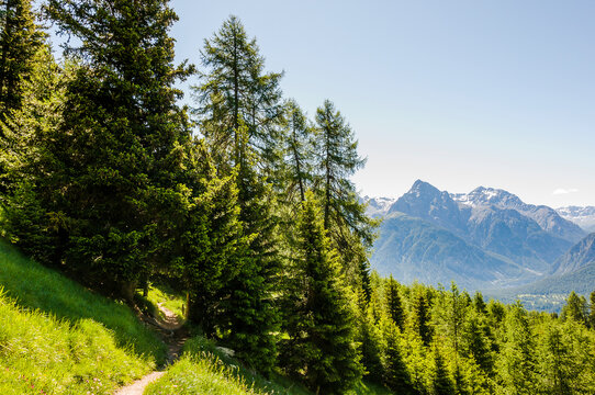 Ftan, Alpe Laret, Wanderweg, Unterengadin, via Engiadina, Alpen, Engadin, Innschlucht, Inn, Fluss, Graub&uuml;nden, Sommer, Schweiz