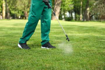 Worker spraying pesticide onto green lawn outdoors, closeup. Pest control