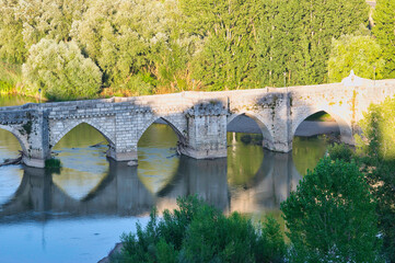 Puente medieval de piedra sobre el rio Pisuerga a su paso por la localidad de Simancas, Castilla y Leon