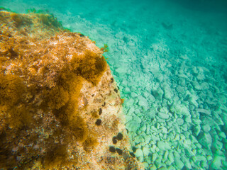 underwater sea bottom view