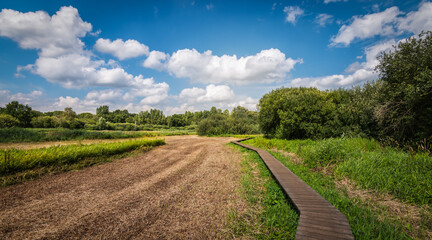 Wooden walkway through the dry nature preserve in summertime in Zandhoven, Belgium.  