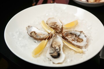 Freshly opened oysters on a plate with ice, lemon slices, sprigs of mint and rosemary on a dark stone background. Place for text, top view. Romantic dinner in a restaurant