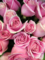 Top view of a bouquet of fresh roses with pink colored blossoms