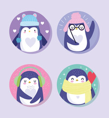 penguins bird animal cartoon wildlife with warm hats scarf glasses characters