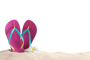 Pink flip flops and plumeria flower on sand against white background, space for text. Beach objects