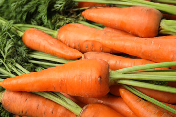 Fresh ripe carrots as background, closeup view