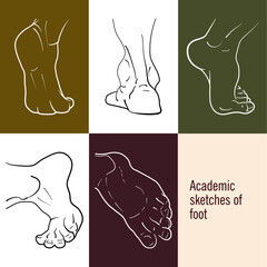 Sketches. Academic sketches of foot.Sketches of foot from different sides