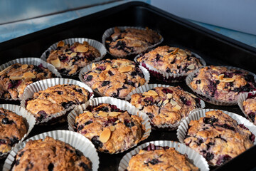 Home made Blueberry Muffins in tray. Berry, bakery.