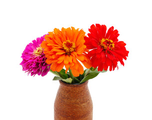 Zinnias are beautiful in a vase.