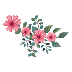 flowers pink color with branches and leaves, on white background vector illustration design