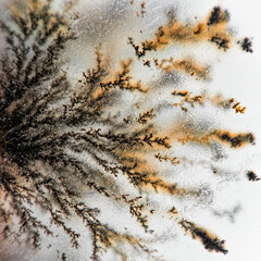 Dendrite crystals