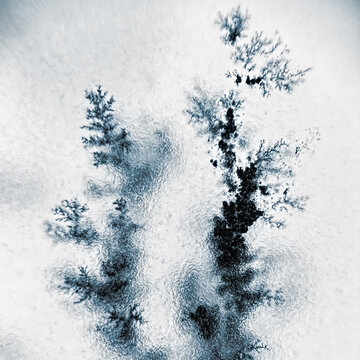 Dendrite tsrystals branch
