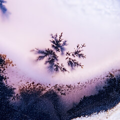 Dendrite crystals abstract