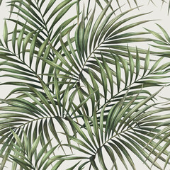 palm tree pattern - 367595767