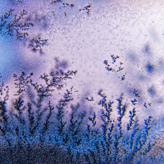 Dendrite crystals macro