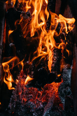 Bright red flames of fire. Ashes and coals. Flames on a dark background. Hot red hot coals, barbecue place. Near the fire.