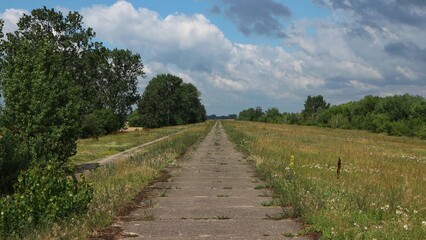 Country road in the midst of meadows

