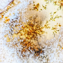Dendrite crystals macro