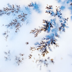 Dendrite crystals macro