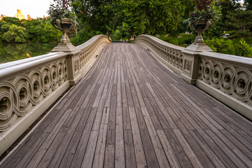 bridge in the park