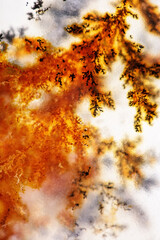 Moss Agate with Crystals Dendrite