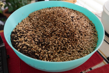 Malt