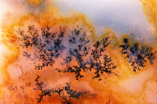 Moss Agate with Crystals Dendrite