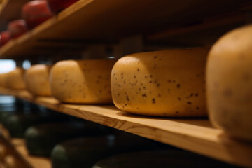 Fresh cheese heads on rack in factory warehouse, closeup