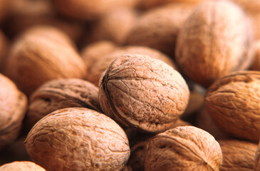 Dry walnuts in shell.