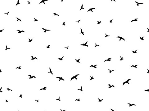 Flying bird seamless pattern. Flock flying birds silhouettes, graphic seagull shapes decorative element. Creative design textile, wrapping, wallpaper vector texture on white background