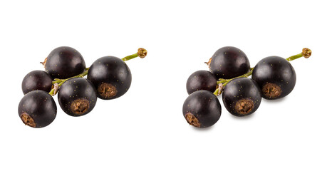 Black currant  isolated on white background with clipping path