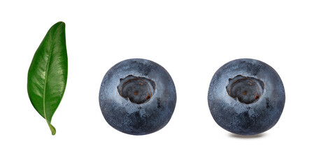 Blueberry isolated on white background with clipping path