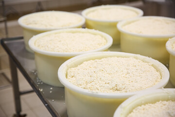 Moulds with pressed curd on table at cheese factory, closeup