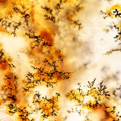 Obraz na płótnie Canvas Moss Agate with Crystals Dendrite