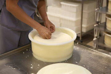 Worker taking fresh cheese from mould at modern factory, closeup