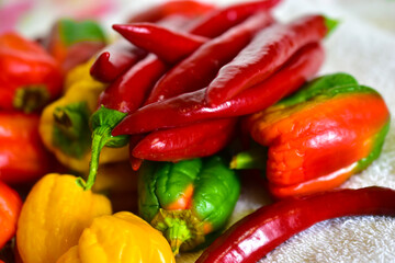 Red and yellow fresh capsicum on a white towel