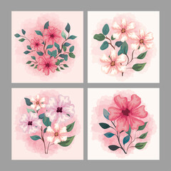 set of decoration, flowers with branches and leaves, nature decoration vector illustration design