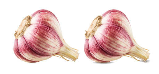 Garlic isolated on white background with clipping path